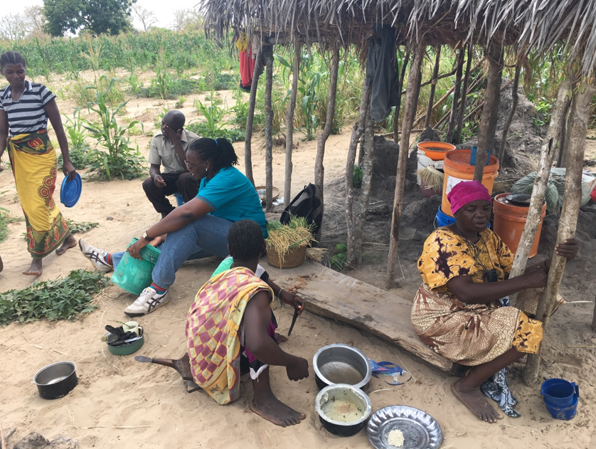 Visits to farm camps by NEPSUS researchers in Ngarambe village, August 2017