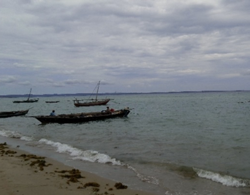 Fishing boats